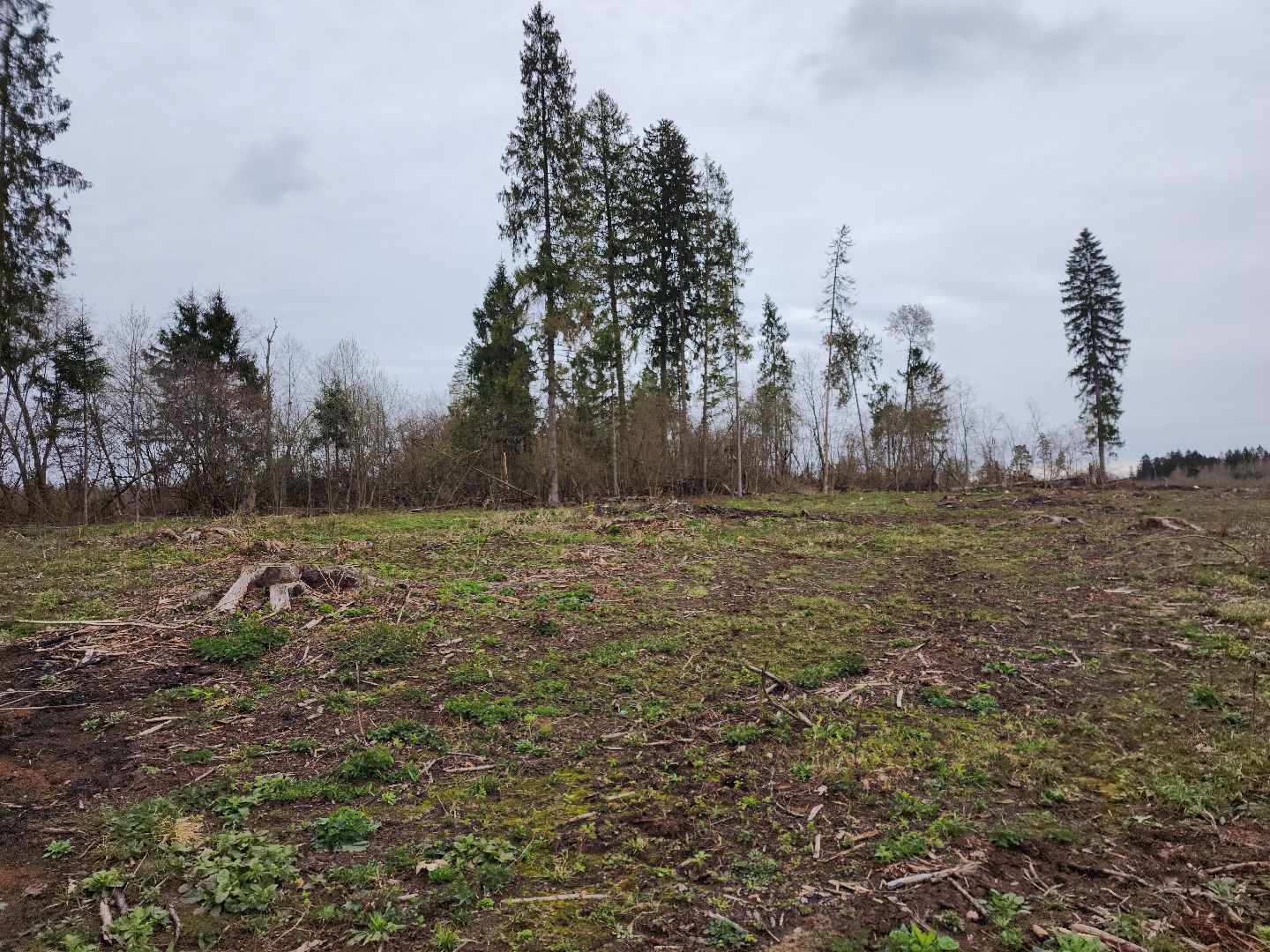 Противопожарные полосы, Профилактика пожаров, одинцовский городской округ,