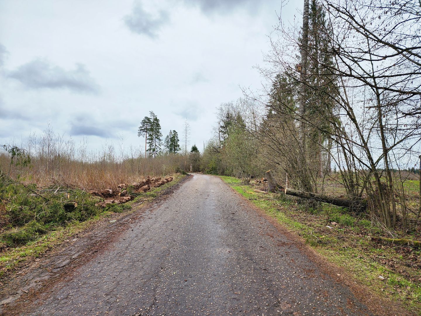 Противопожарные полосы, Профилактика пожаров, одинцовский городской округ,