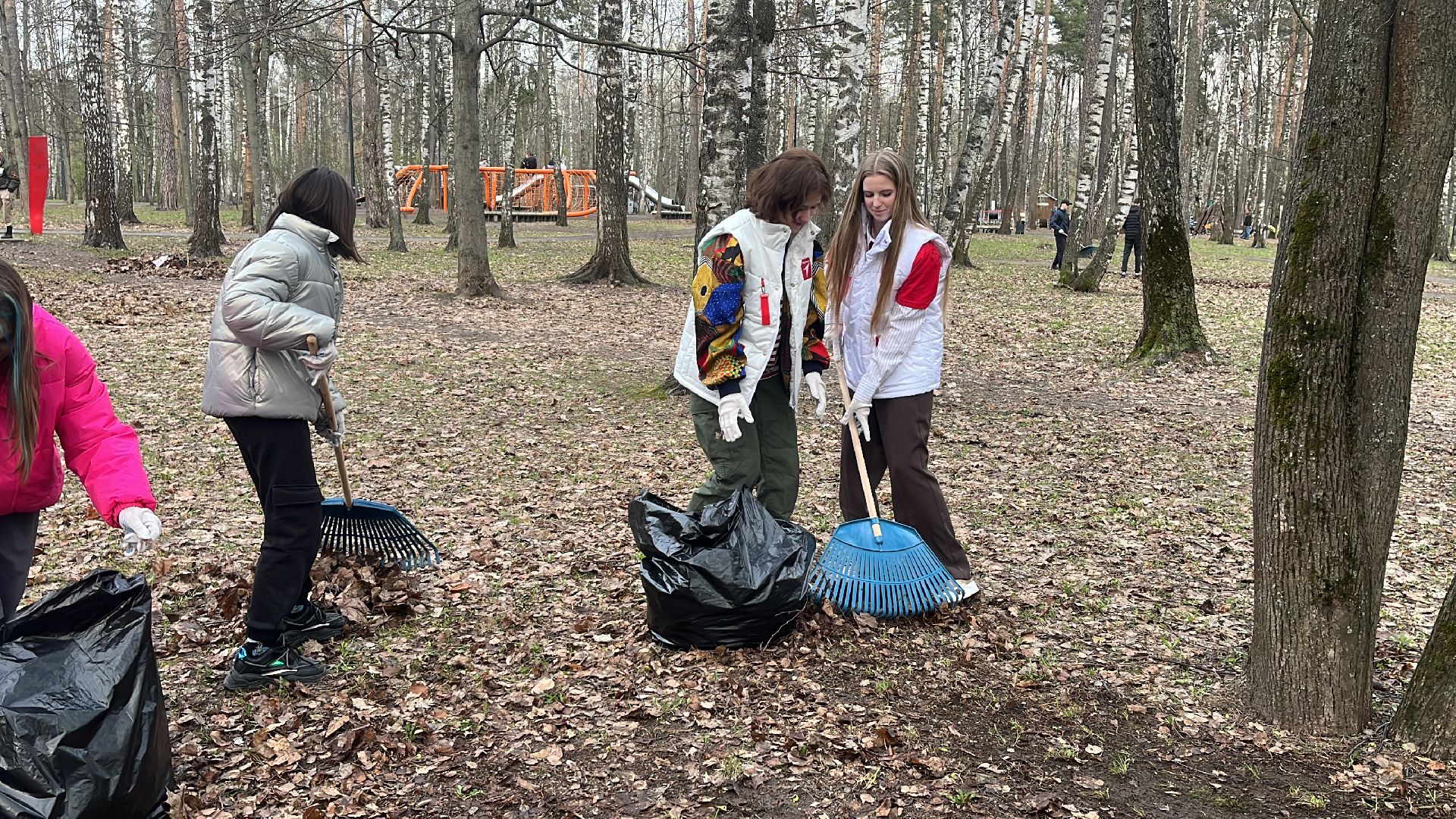 уборка, экология, экологическая акция, большая экологическая уборка,
