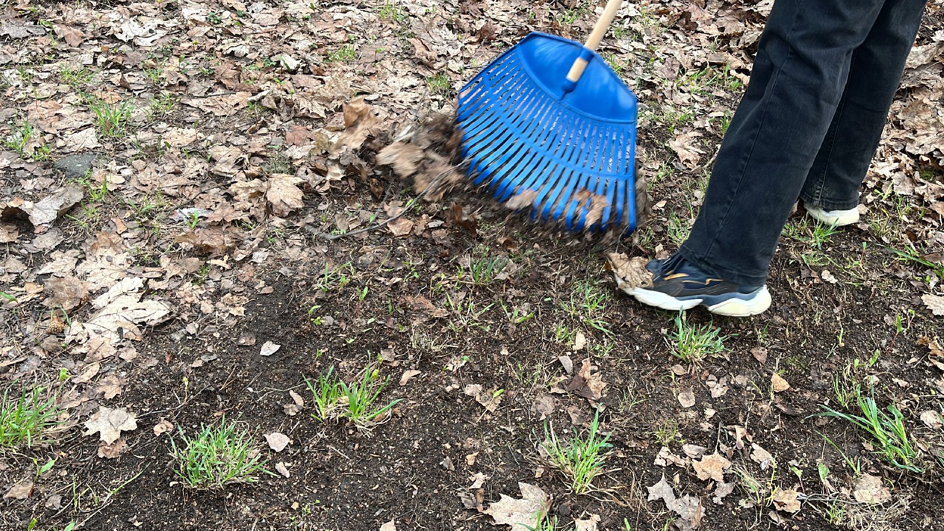 уборка, экология, экологическая акция, большая экологическая уборка,