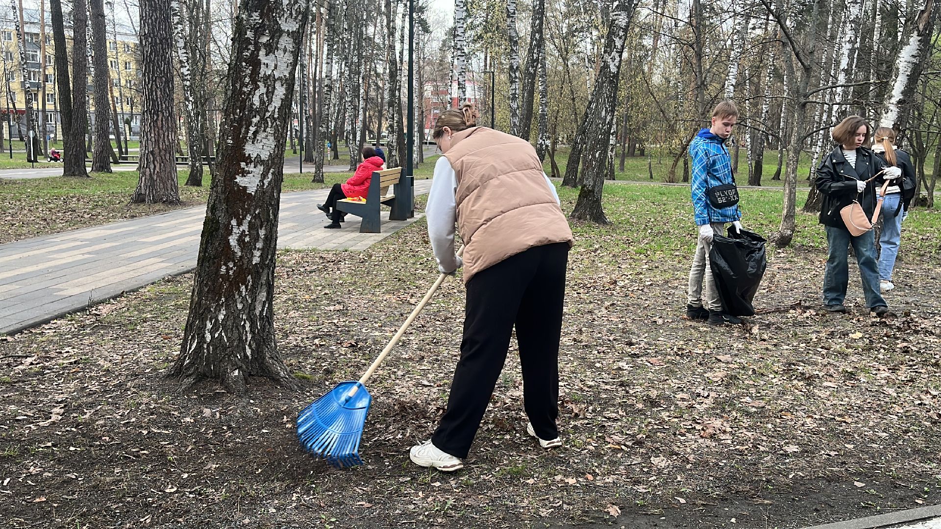 уборка, экология, экологическая акция, большая экологическая уборка,