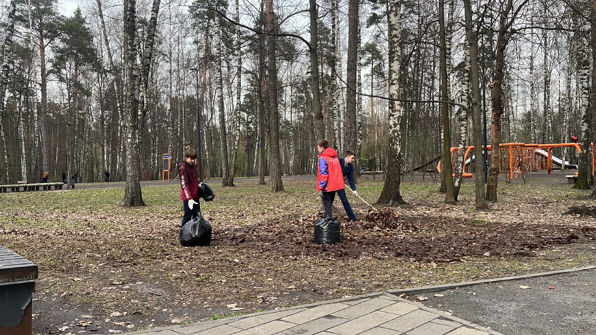 уборка, экология, экологическая акция, большая экологическая уборка,