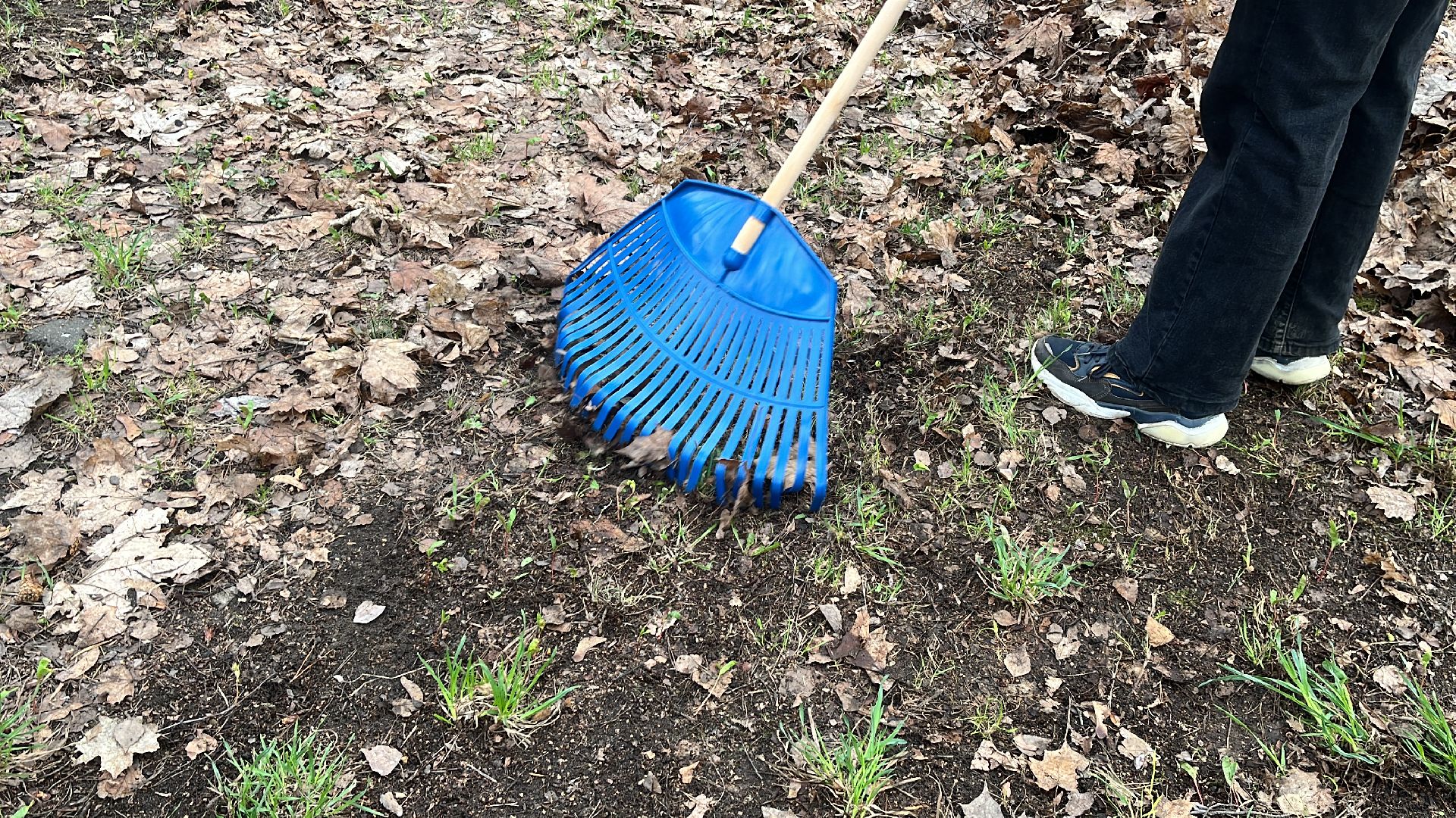 уборка, экология, экологическая акция, большая экологическая уборка,