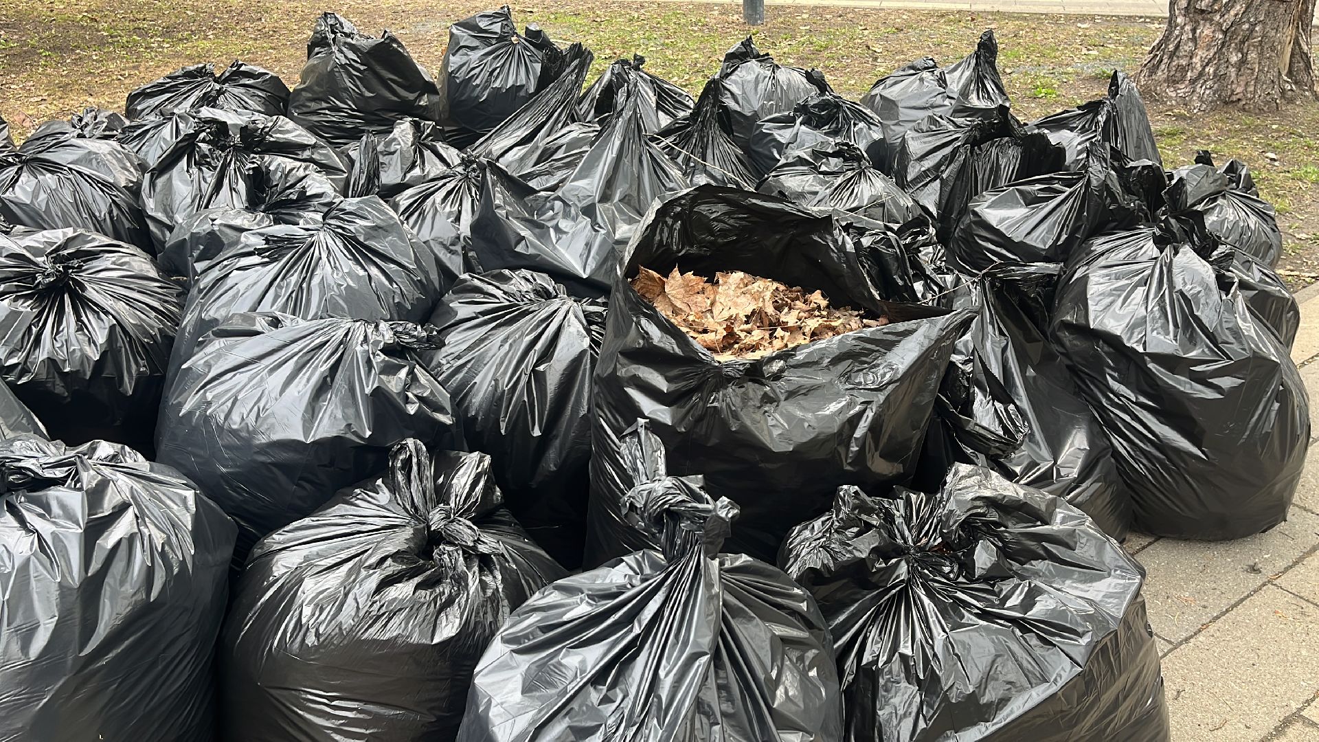 уборка, экология, экологическая акция, большая экологическая уборка,