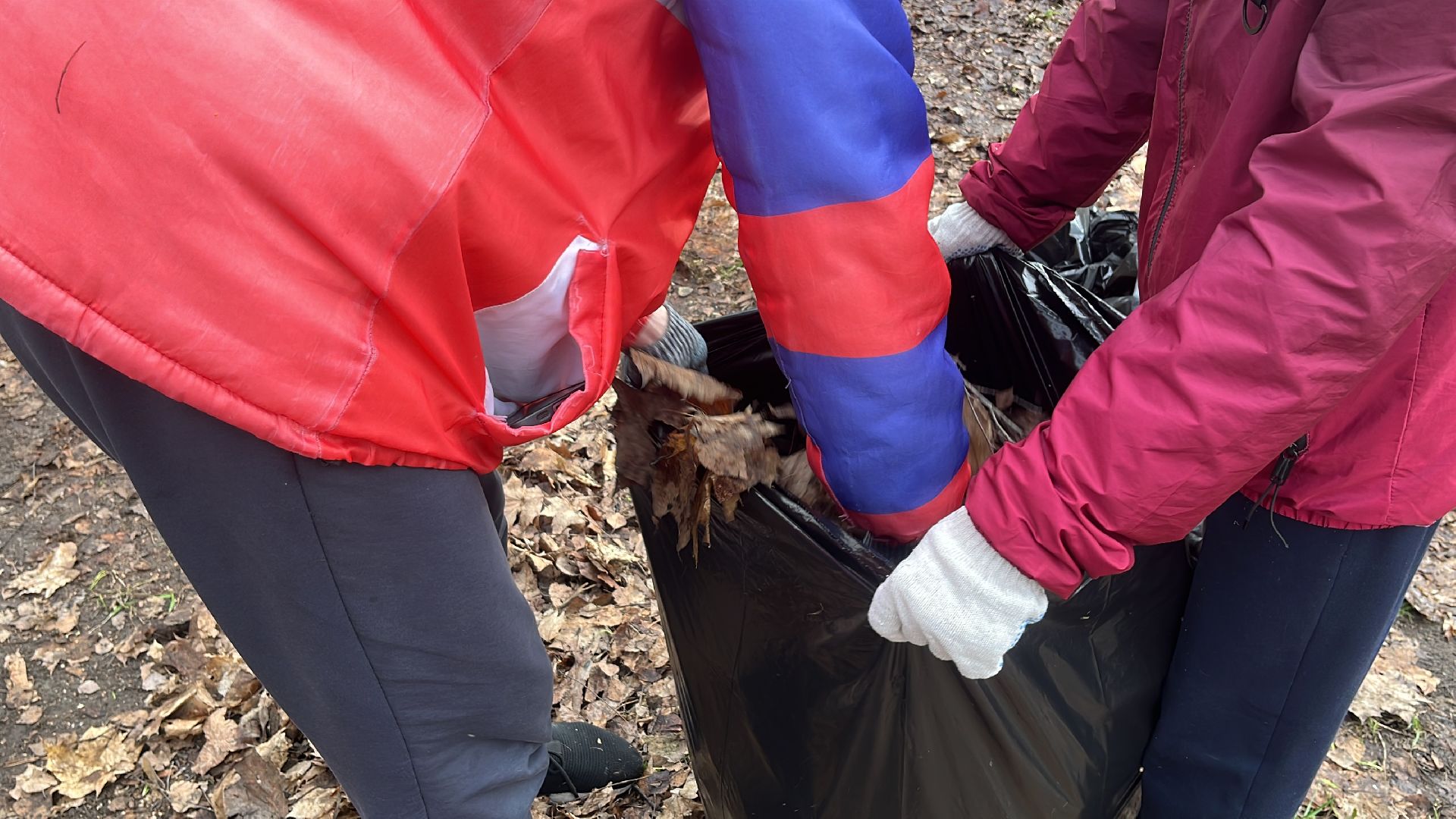 уборка, экология, экологическая акция, большая экологическая уборка,