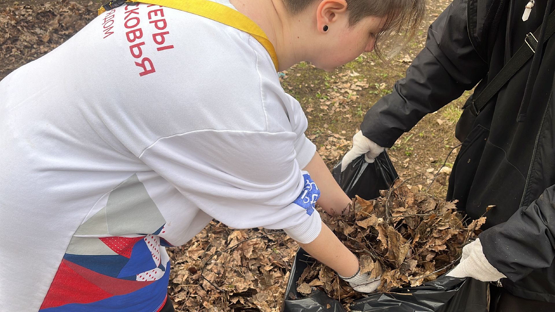 уборка, экология, экологическая акция, большая экологическая уборка,