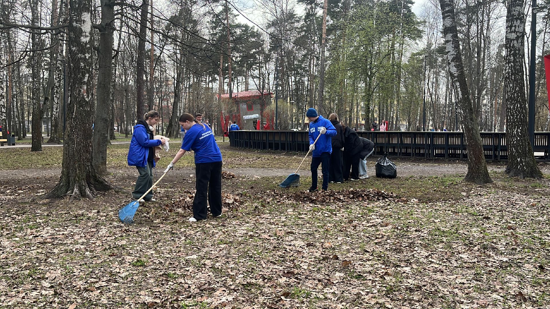 уборка, экология, экологическая акция, большая экологическая уборка,