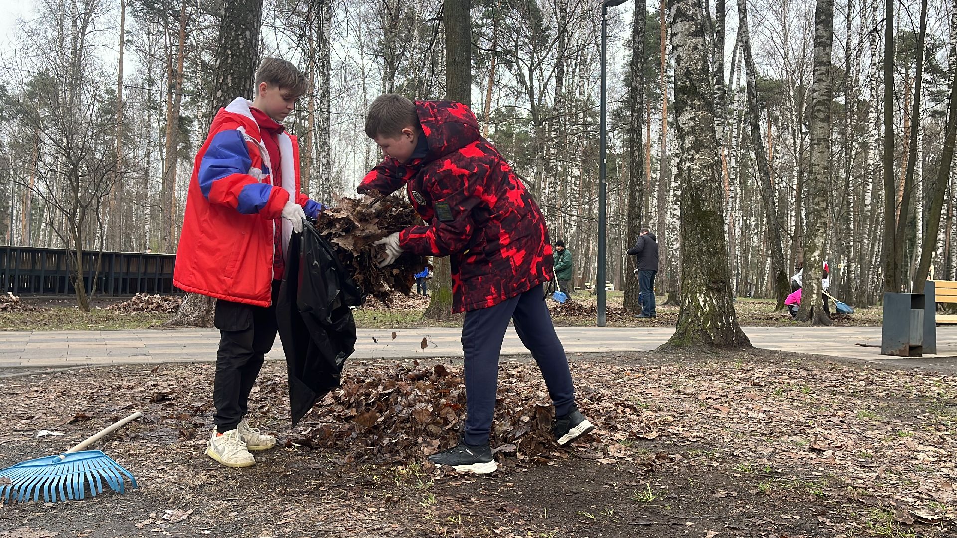 уборка, экология, экологическая акция, большая экологическая уборка,