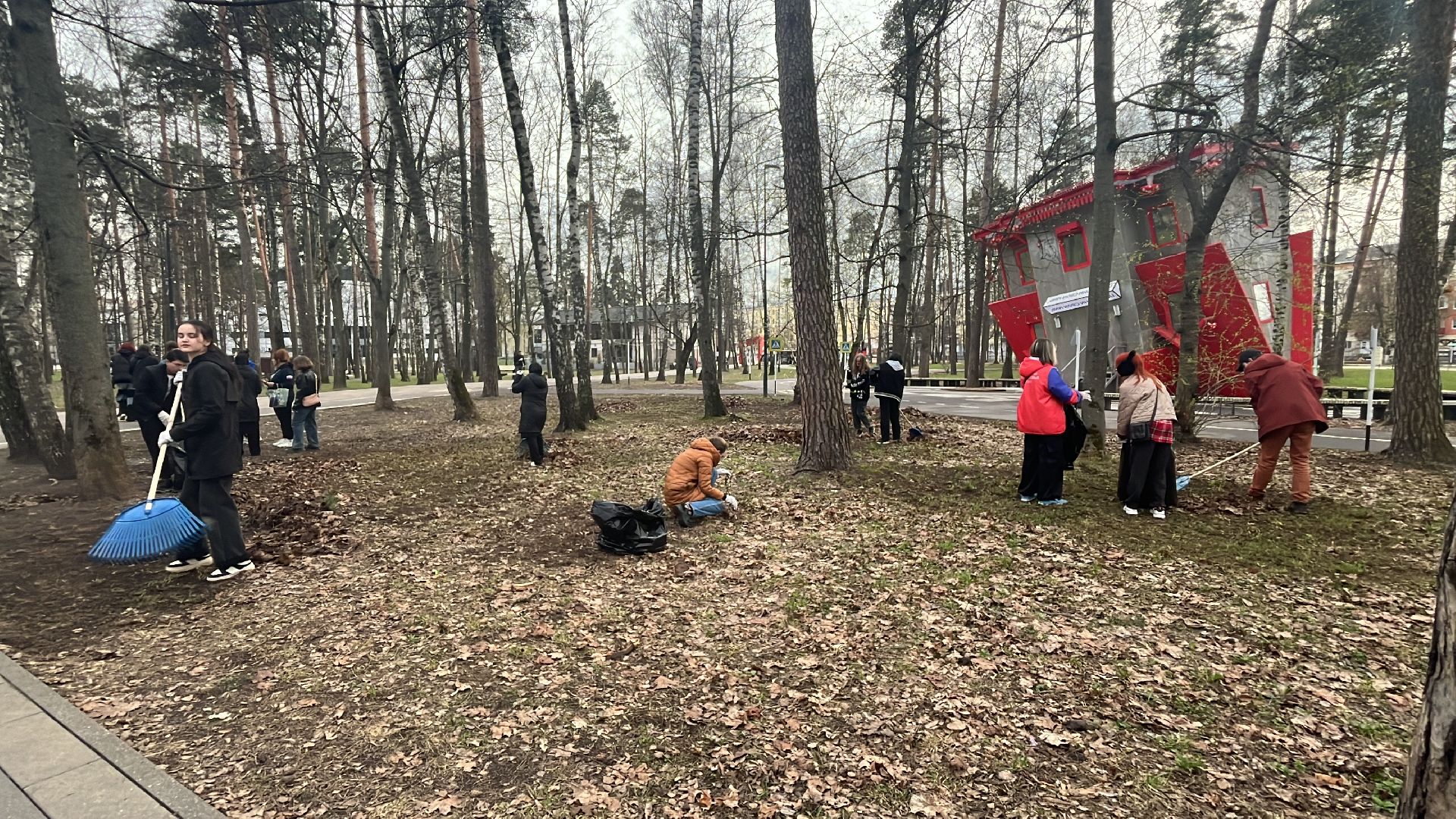 уборка, экология, экологическая акция, большая экологическая уборка,