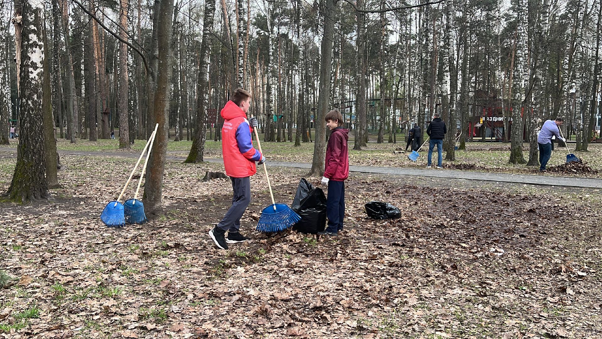 уборка, экология, экологическая акция, большая экологическая уборка,