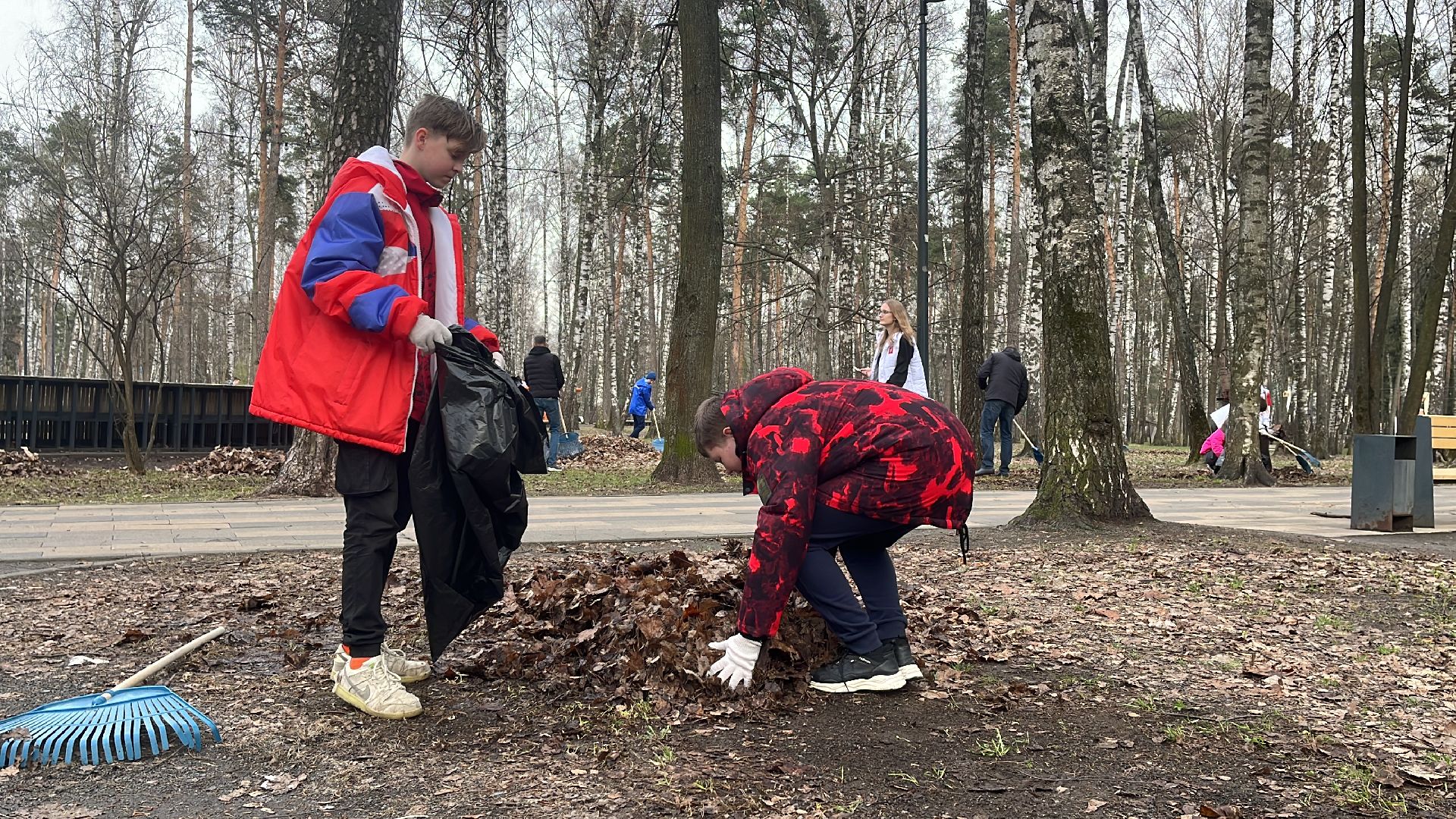 уборка, экология, экологическая акция, большая экологическая уборка,