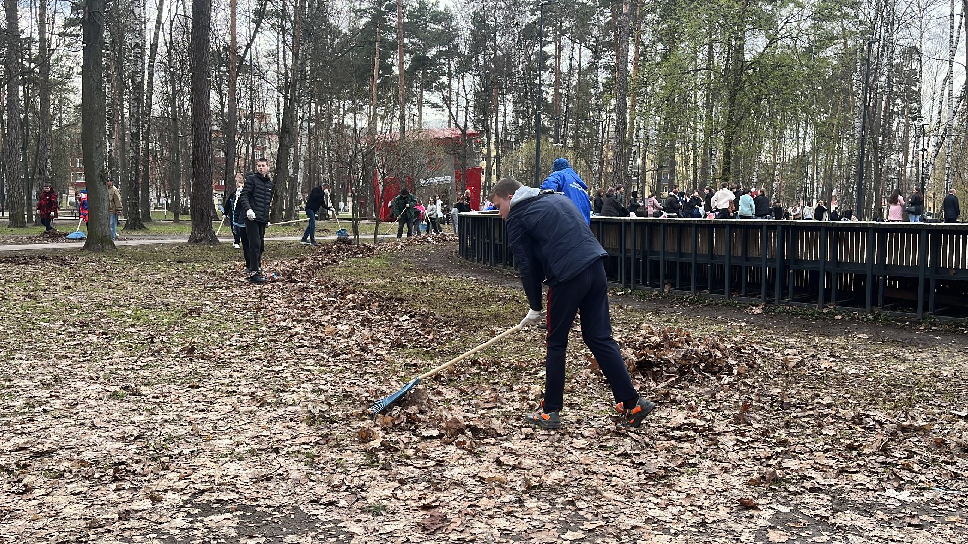 уборка, экология, экологическая акция, большая экологическая уборка,