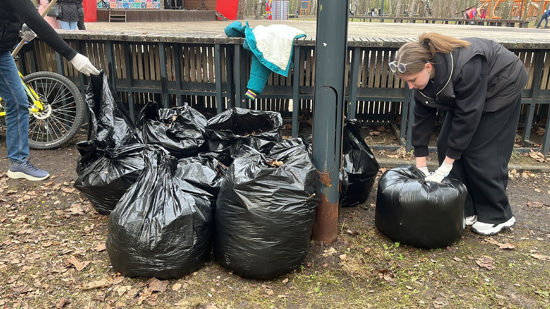 уборка, экология, экологическая акция, большая экологическая уборка,