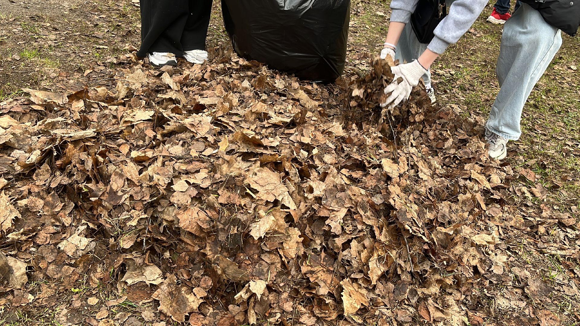 уборка, экология, экологическая акция, большая экологическая уборка,
