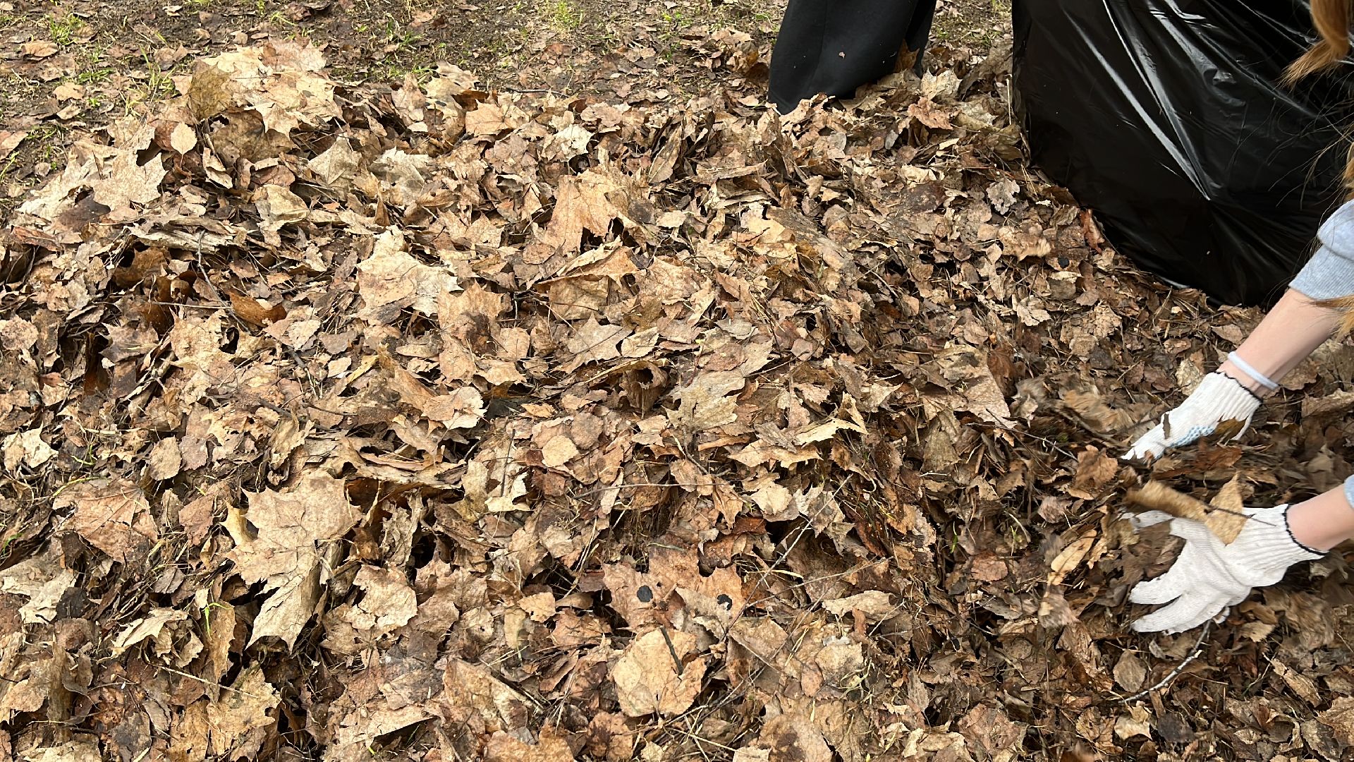 уборка, экология, экологическая акция, большая экологическая уборка,