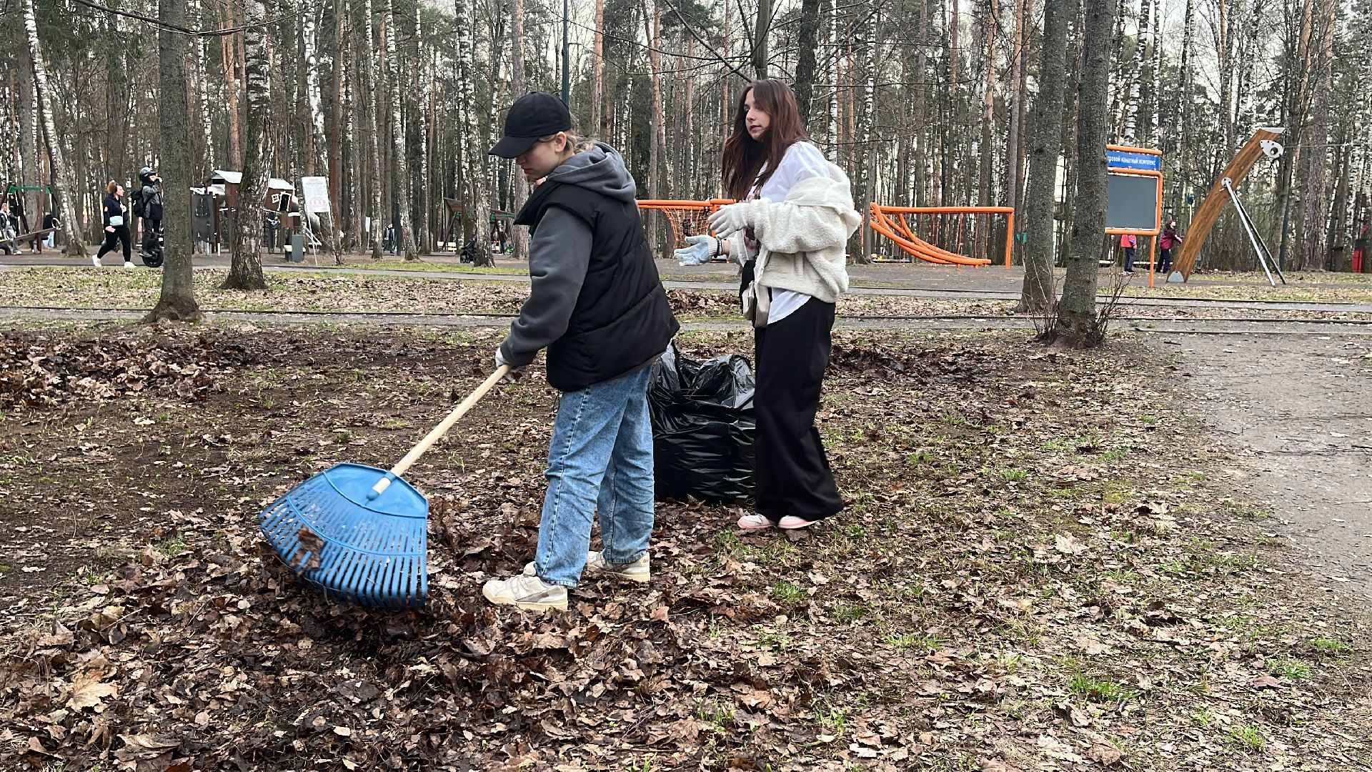 уборка, экология, экологическая акция, большая экологическая уборка,