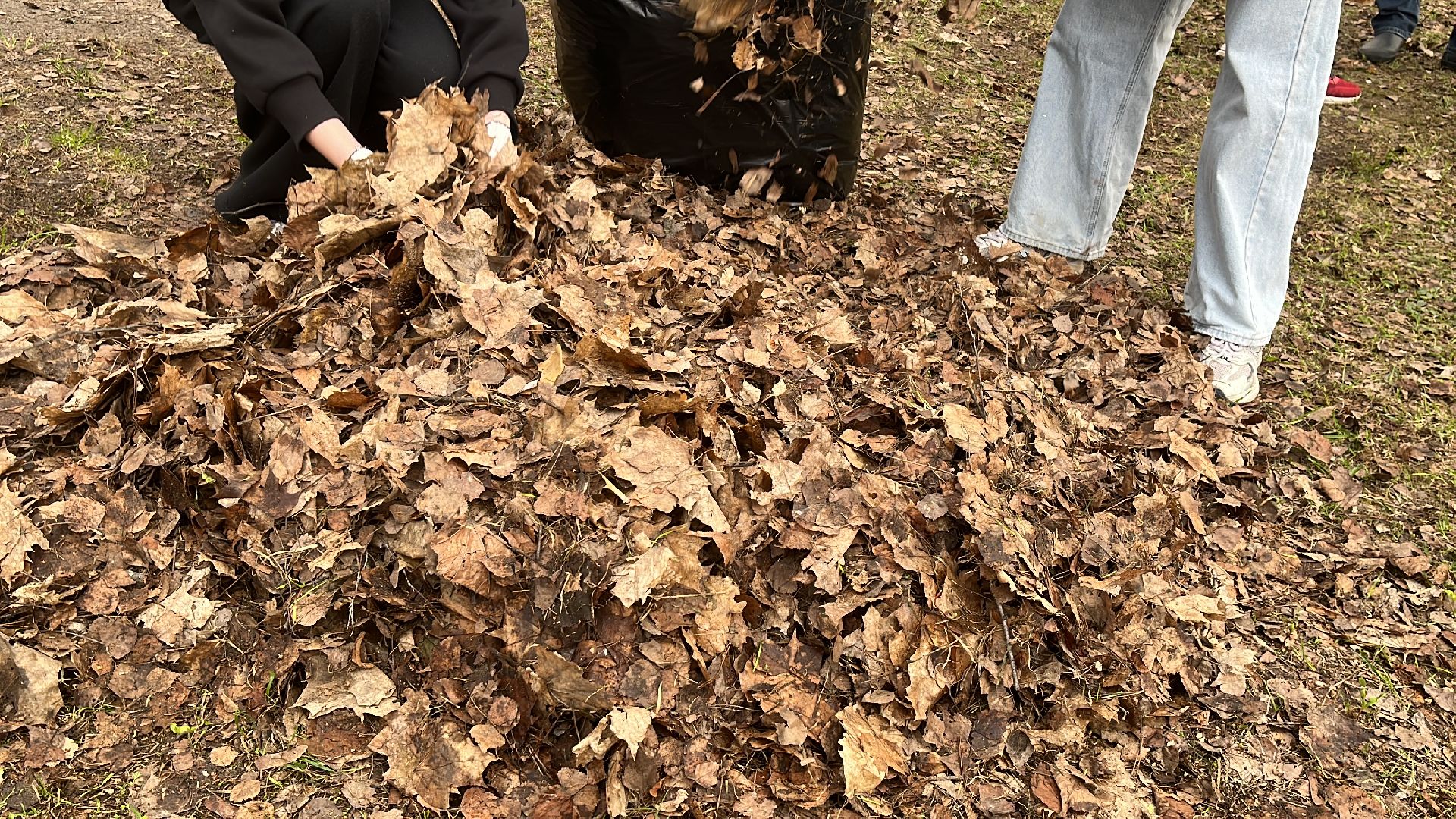 уборка, экология, экологическая акция, большая экологическая уборка,