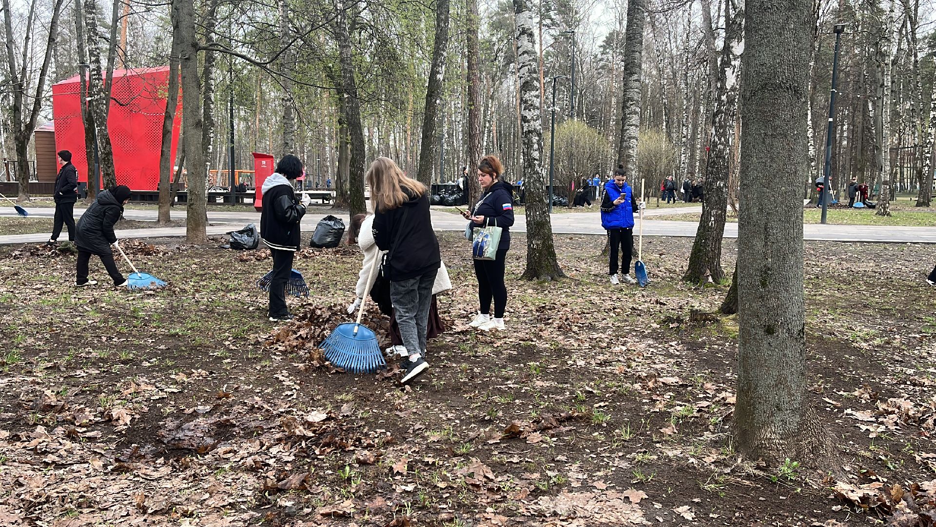 уборка, экология, экологическая акция, большая экологическая уборка,