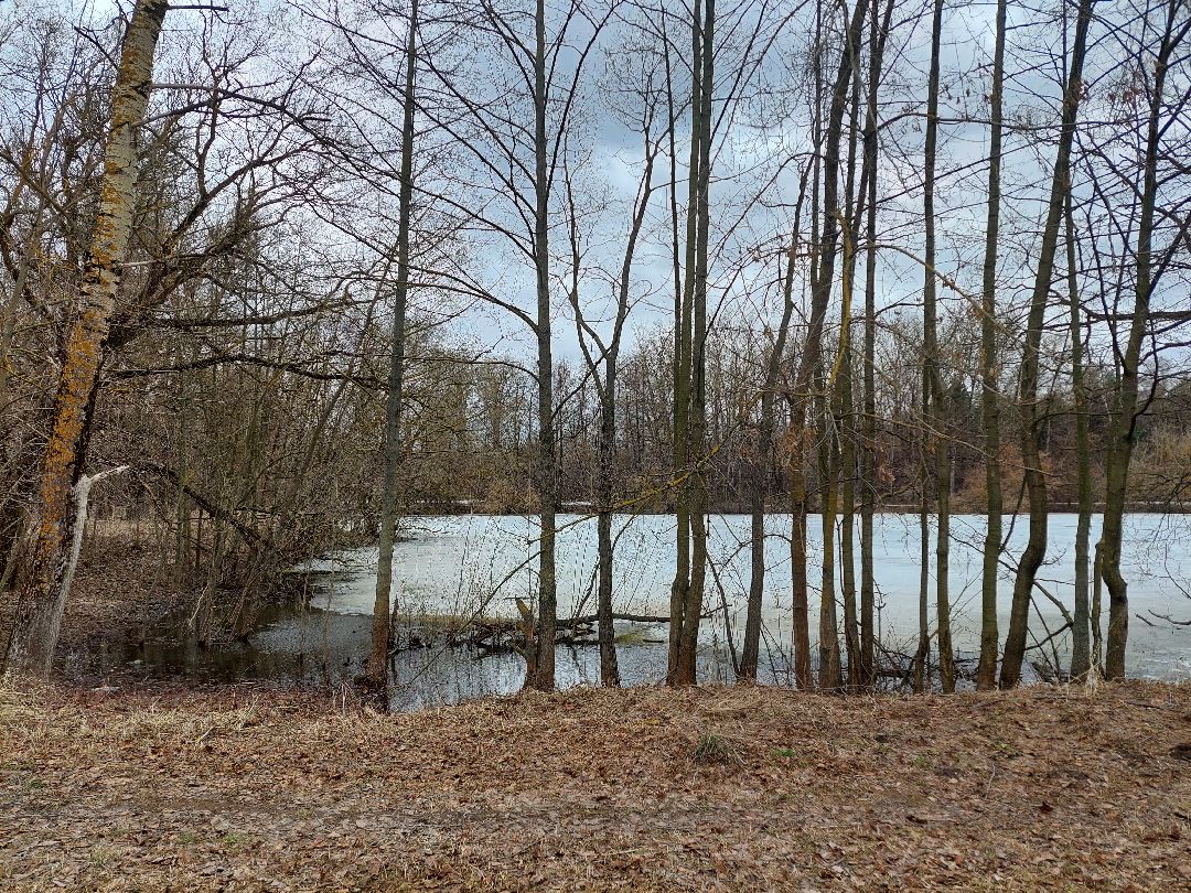 благоустройство, пруд, очистка водоёмов, 100 прудов и озёр