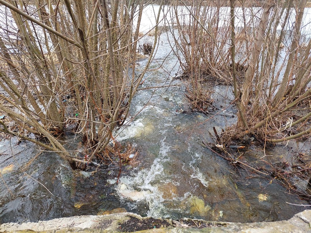 благоустройство, пруд, очистка водоёмов, 100 прудов и озёр
