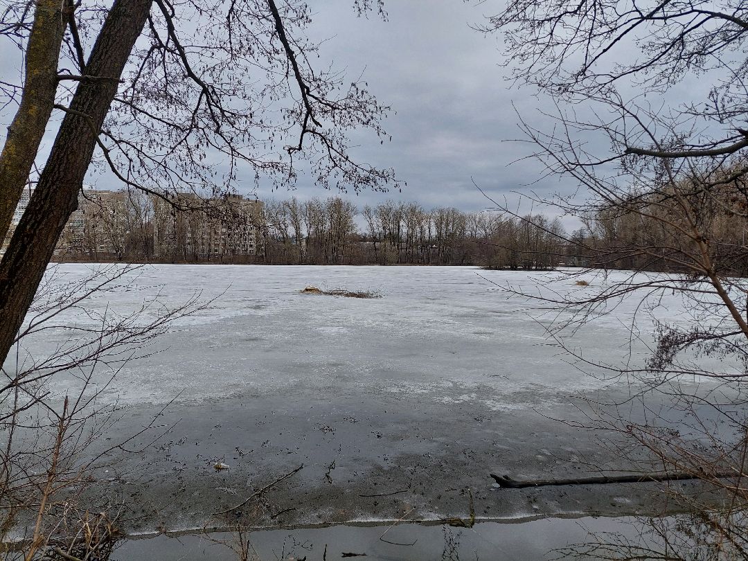 благоустройство, пруд, очистка водоёмов, 100 прудов и озёр
