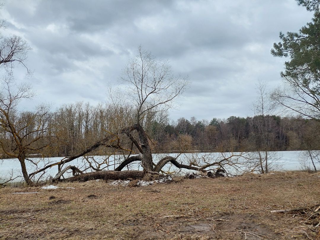 благоустройство, пруд, очистка водоёмов, 100 прудов и озёр
