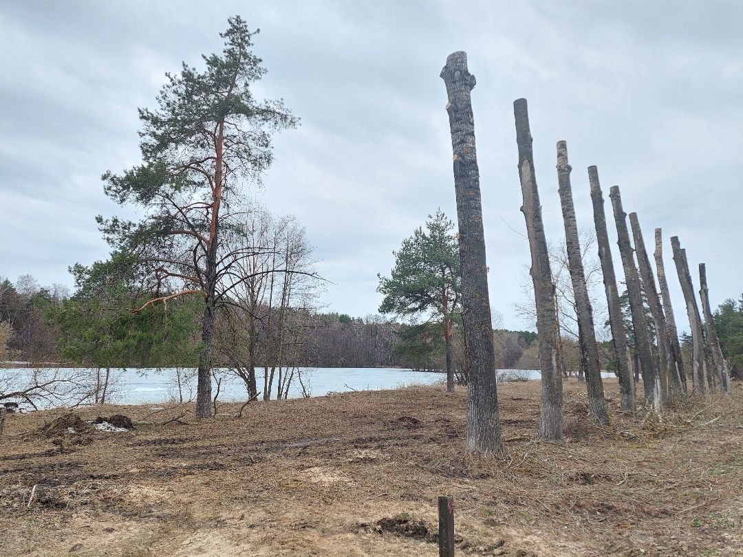 благоустройство, пруд, очистка водоёмов, 100 прудов и озёр
