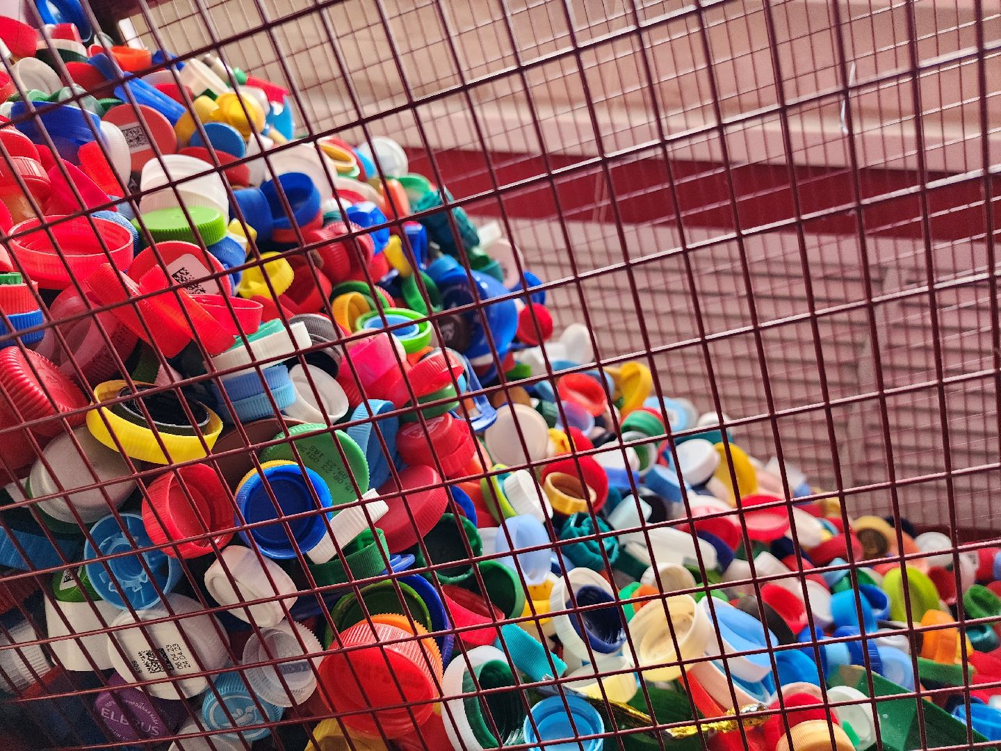 волонтеры, сбор крышечек, переработка, Ногинск, Богородский городской округ,