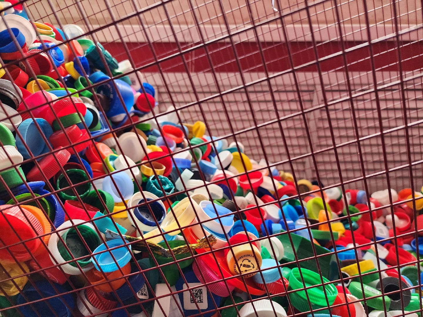 волонтеры, сбор крышечек, переработка, Ногинск, Богородский городской округ,