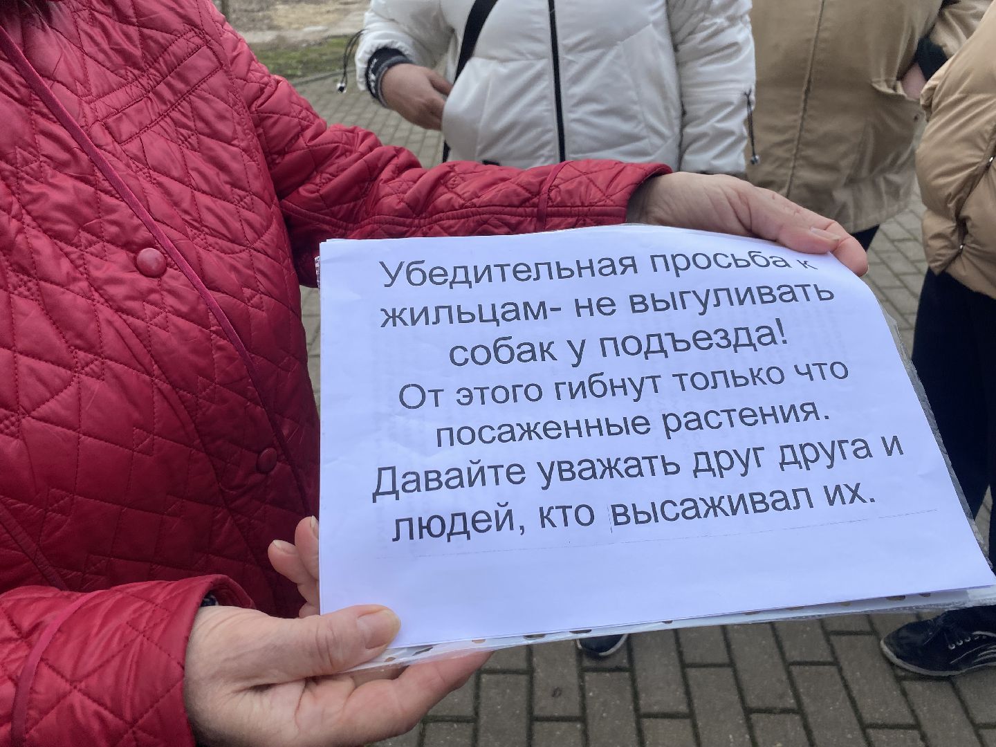 Весеннее преображение, Власиха благоустройство, Микрорайон Школьный Власиха, Цветной бульвар Власиха, МБУ ЖКХ и благоустройство,