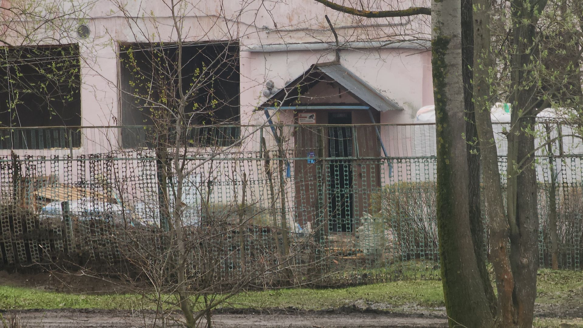 Павловский Посад, Городской округ Павловский Посад, Строительство, Образование, Дети, Незабудка,