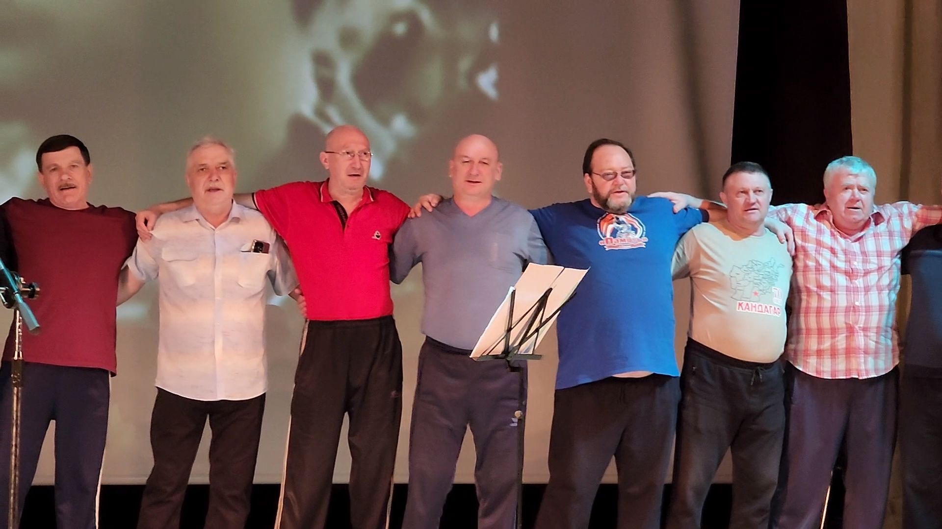 руза, цвт им. лиходея, цвт имени лиходея, реабилитация, концерт, патриотизм,