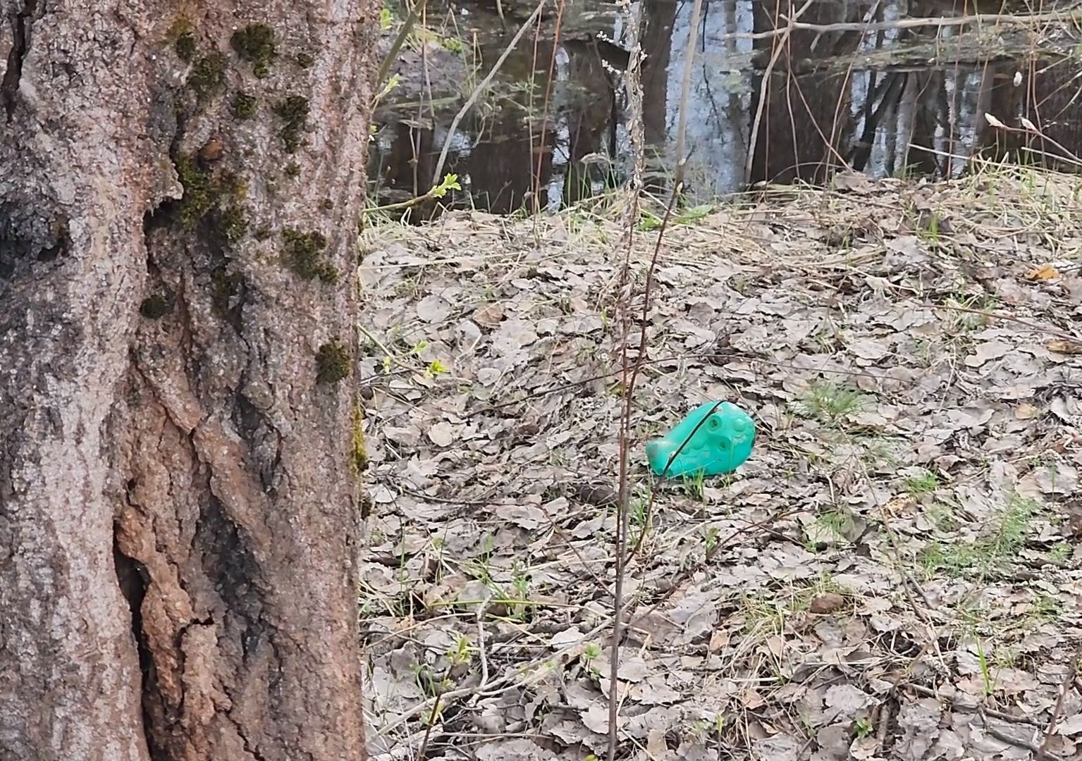 Дубна, заместитель главы, Обращение жителей, Подтопления, Дренаж, Водоотводные канавы,