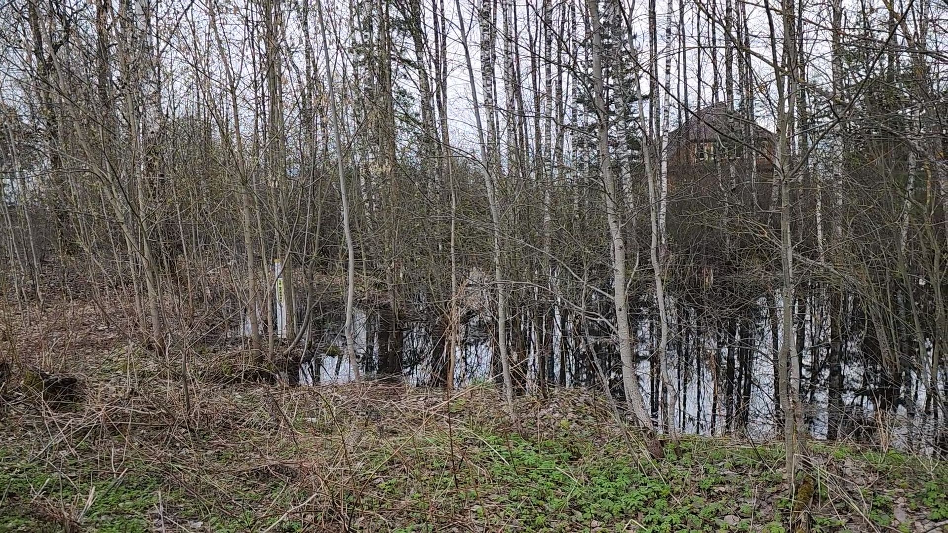 Дубна, заместитель главы, Обращение жителей, Подтопления, Дренаж, Водоотводные канавы,