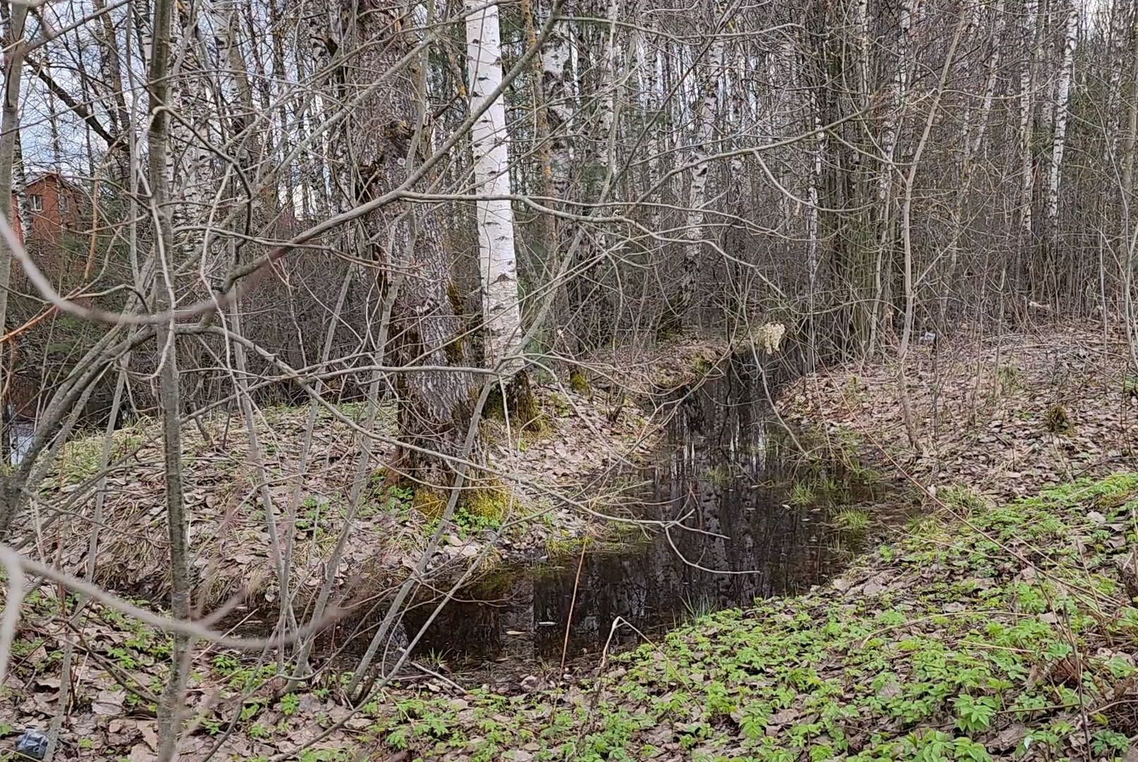 Дубна, заместитель главы, Обращение жителей, Подтопления, Дренаж, Водоотводные канавы,