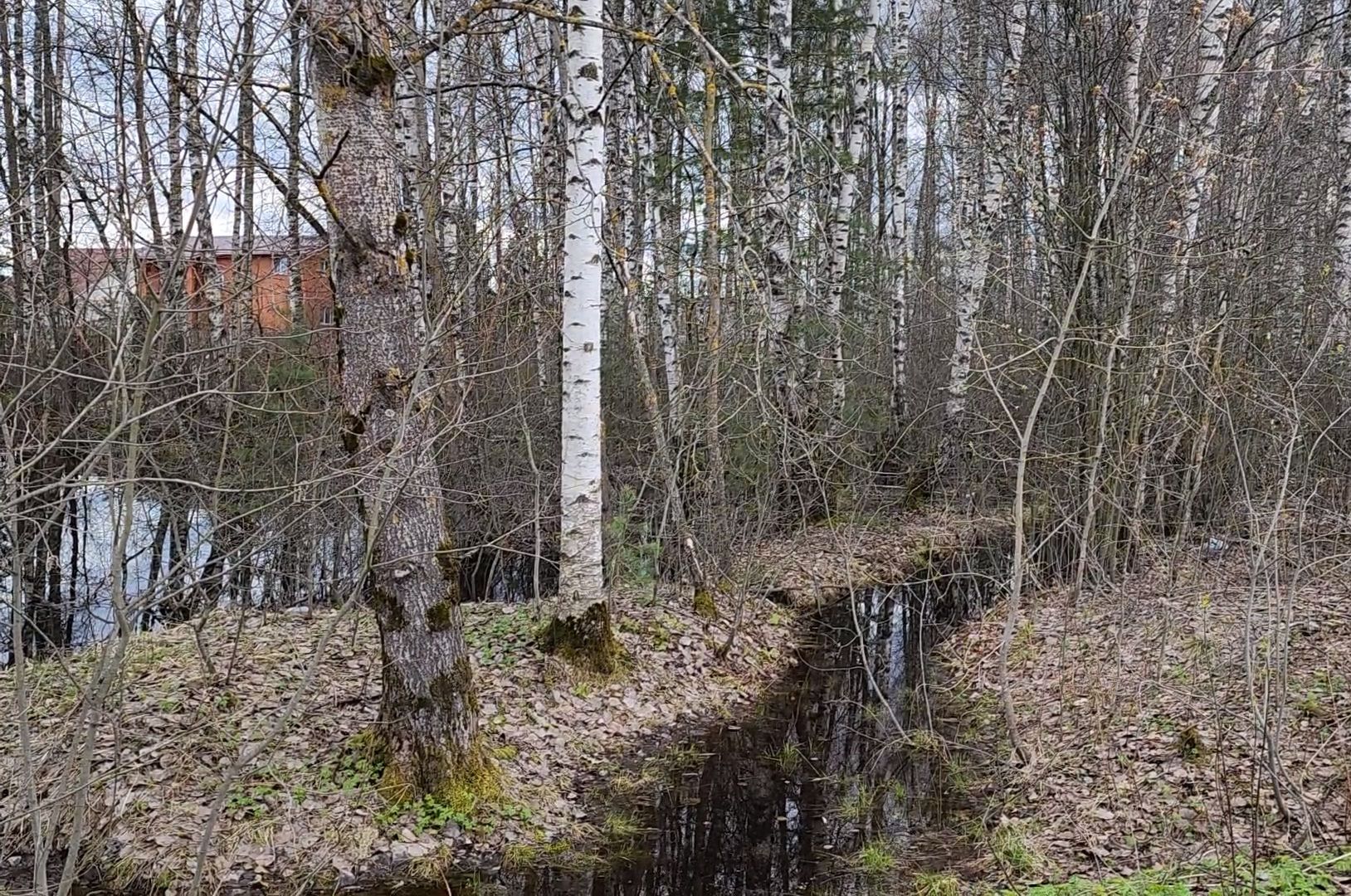 Дубна, заместитель главы, Обращение жителей, Подтопления, Дренаж, Водоотводные канавы,