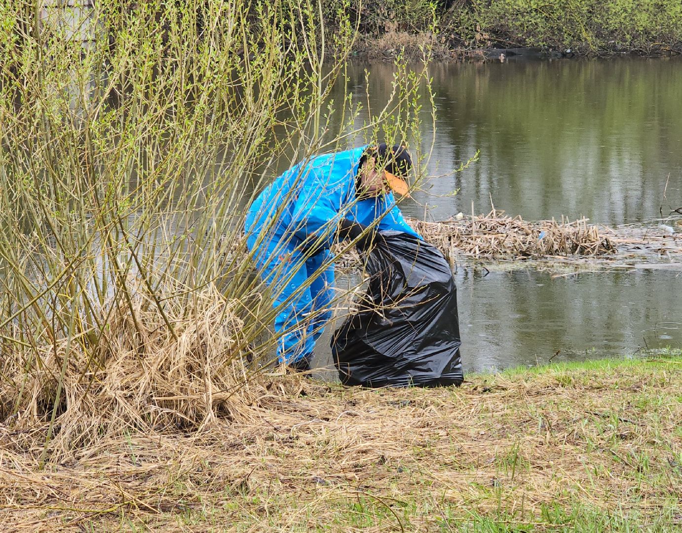 воскресенск, благоустройство, жители, пруд,