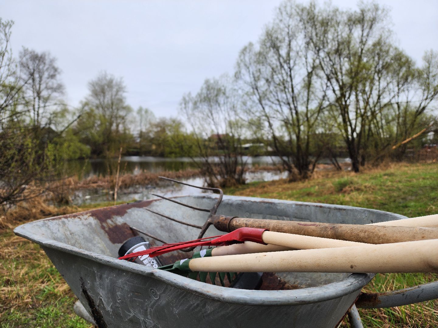 воскресенск, благоустройство, жители, пруд,