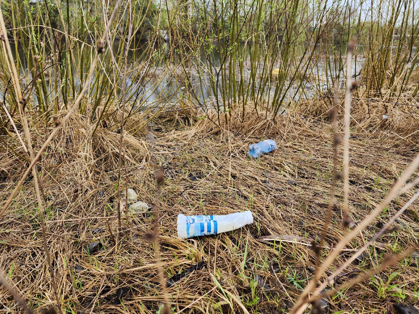 воскресенск, благоустройство, жители, пруд,