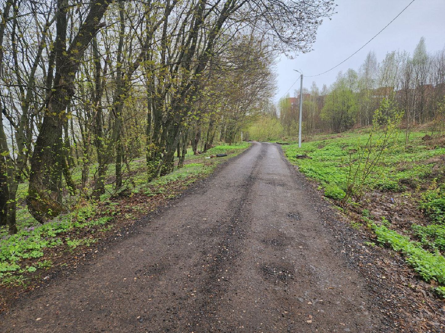 пущино, благоустройство, дороги,