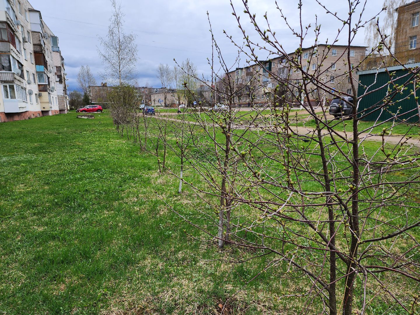 голосование, голосование 2024, голосование за благоустройство, тучково, сквер, руза, рузский городской округ,