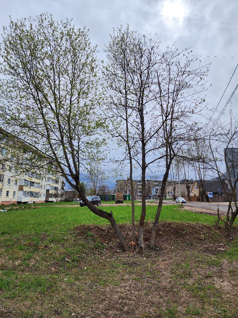 голосование, голосование 2024, голосование за благоустройство, тучково, сквер, руза, рузский городской округ,