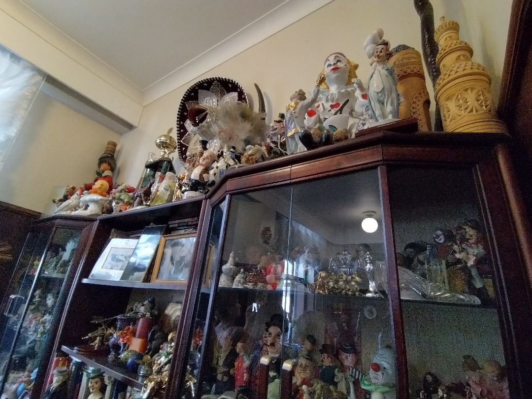 Юрий Никулин, Максим Никулин, Юрий Никулин-младший, Московский цирк