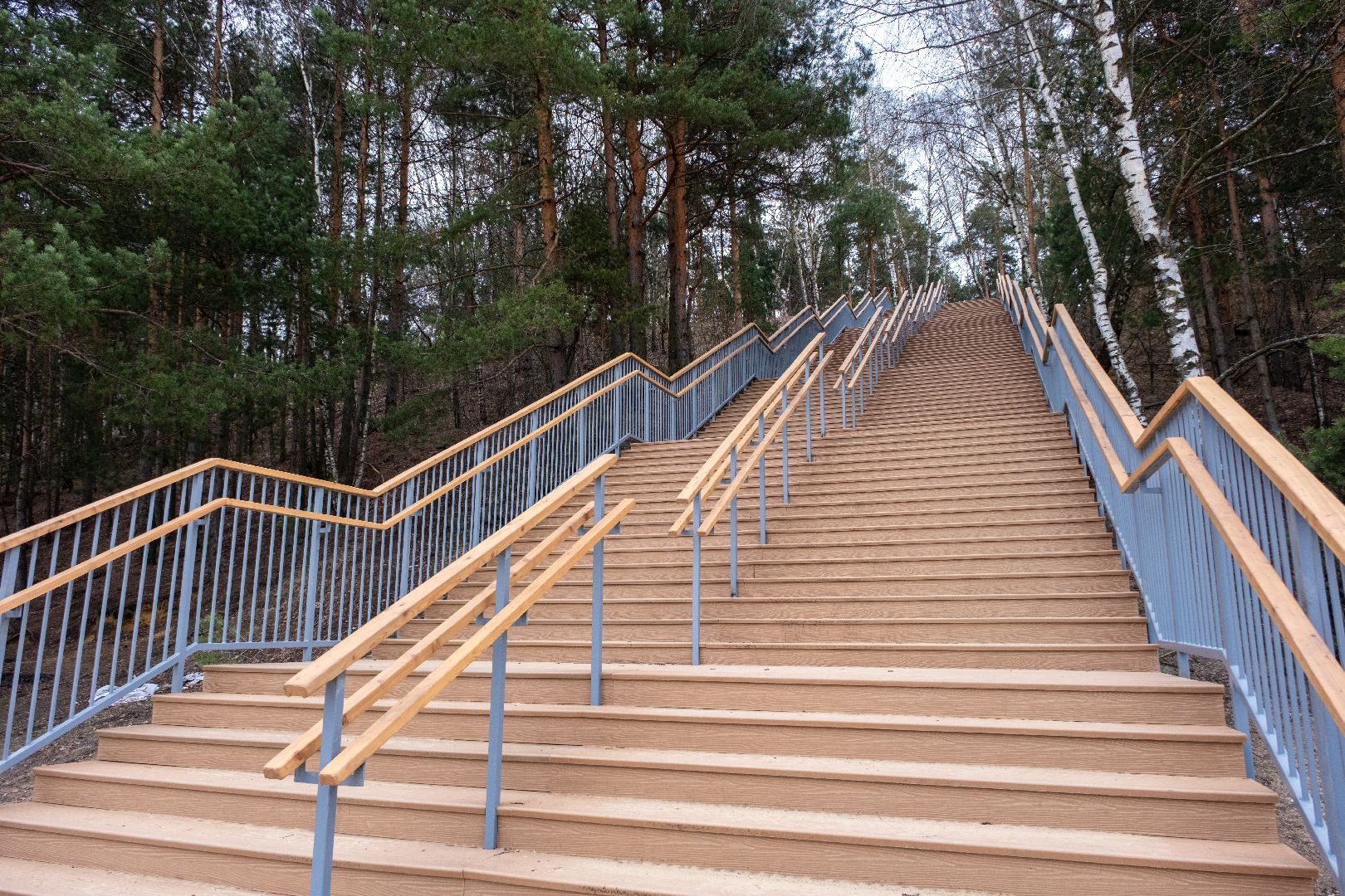 лыткарино, благоустройство, волкуша, лесопарк,