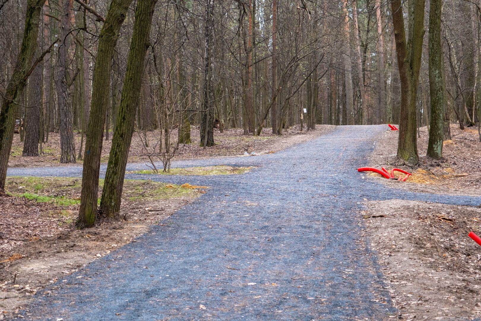 лыткарино, благоустройство, волкуша, лесопарк,