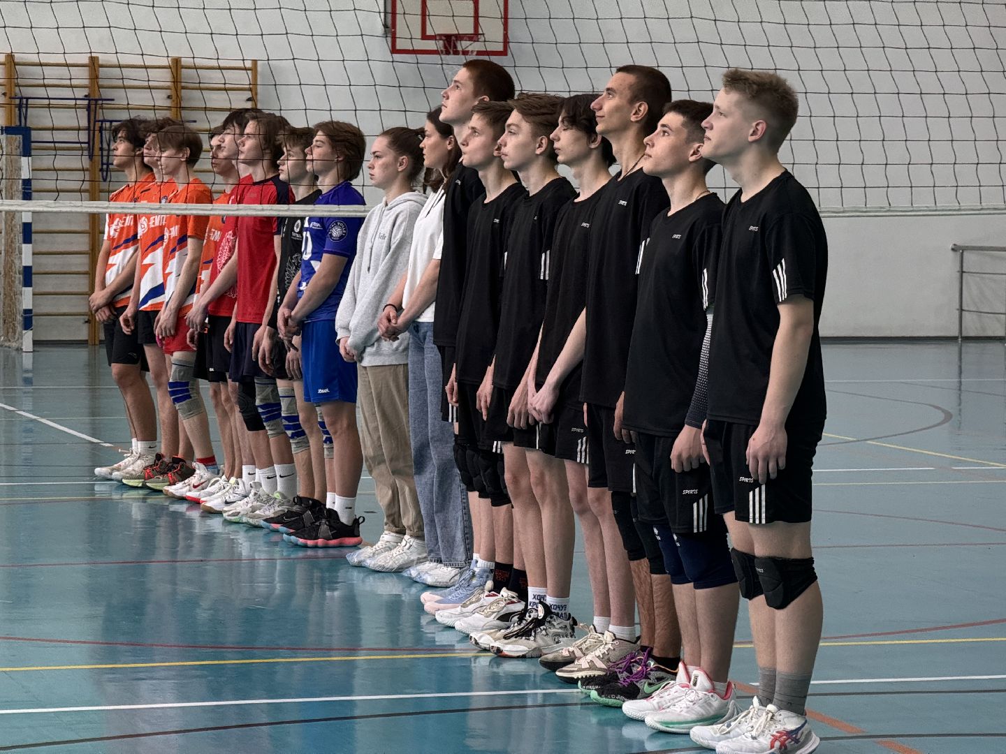 шаховская, волейбол, турнир, спорт,