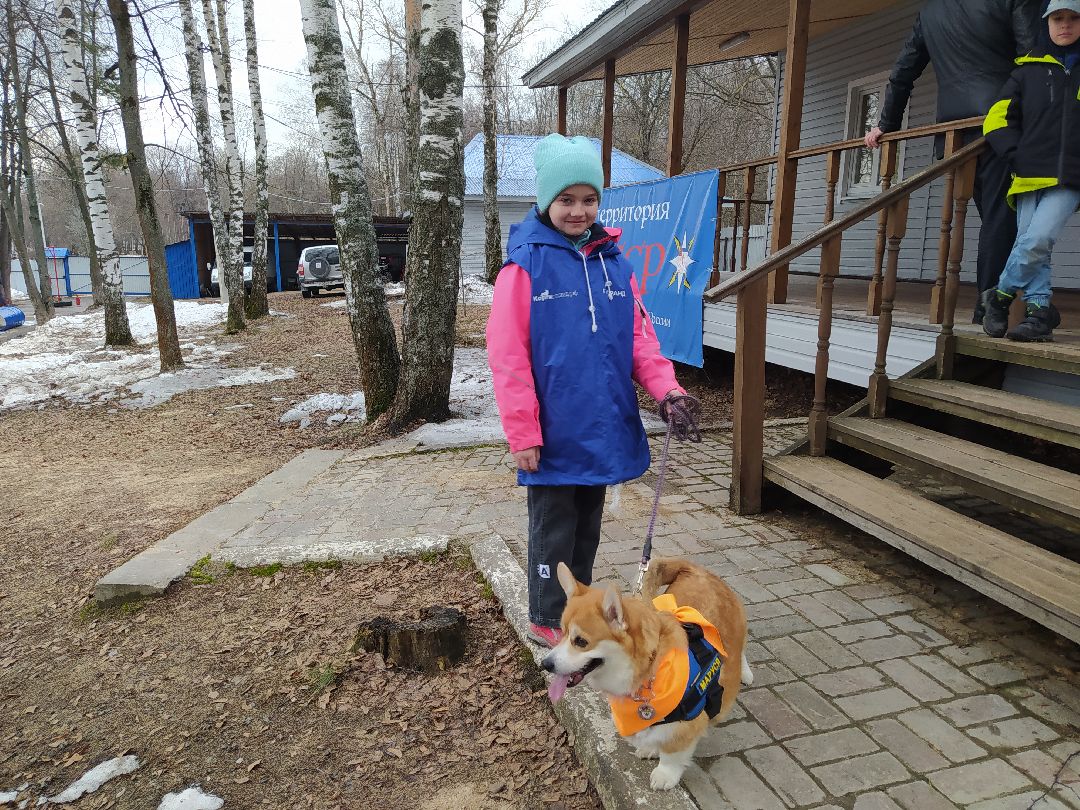 открытый урок, корги, спасатели, Щёлково