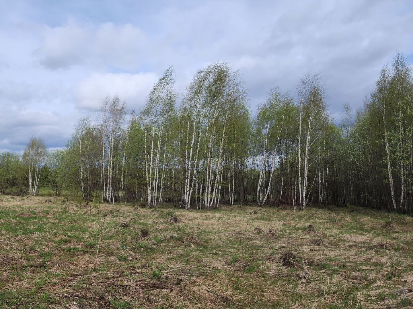 пущино, серпухов, экология, шины, мегабак,