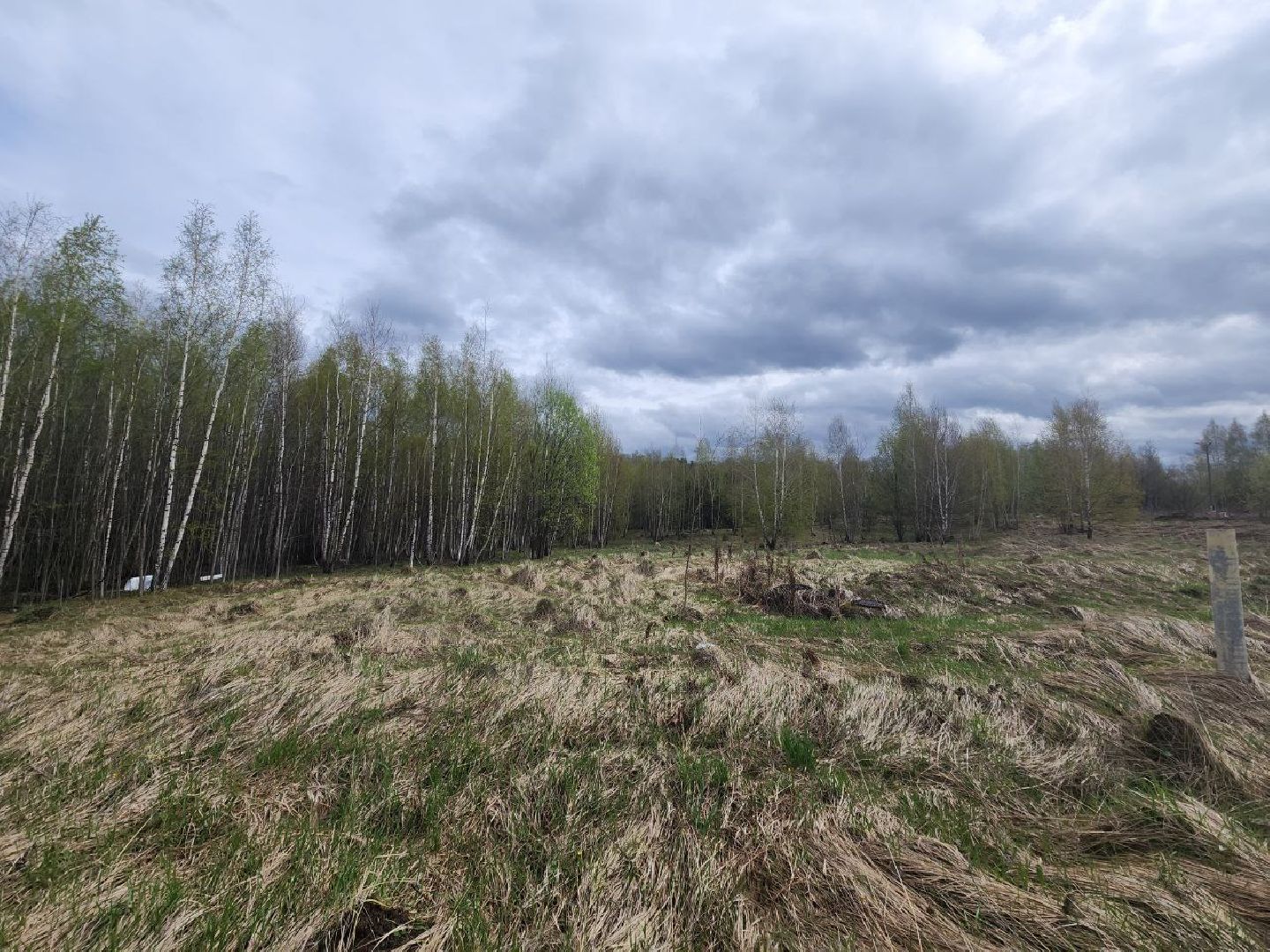 пущино, серпухов, экология, шины, мегабак,