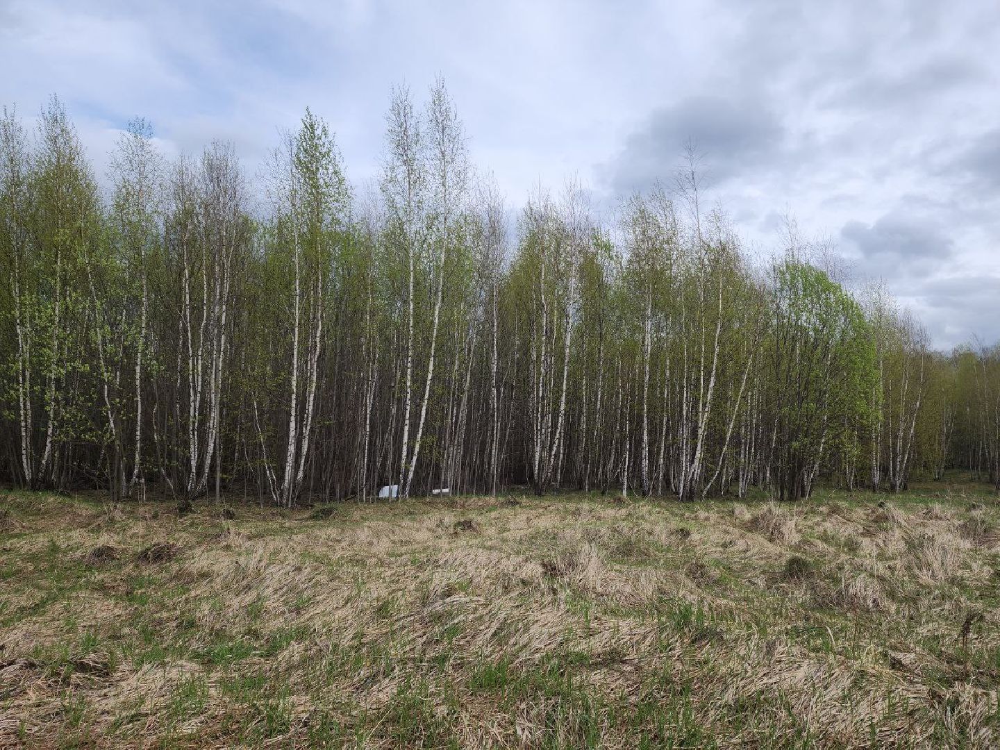 пущино, серпухов, экология, шины, мегабак,